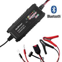 ALCAPOWER SX-1 CARICABATTERIA SWITCHING 6A 6V/12V PER BATTERIE DA 1,2AH A 120AH LIFEPO4 ALC702907 0